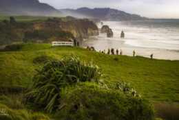 New Zealand 2025 (1 group) (59/66)